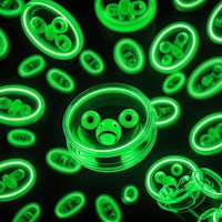 a group of green glowing circles on a black background